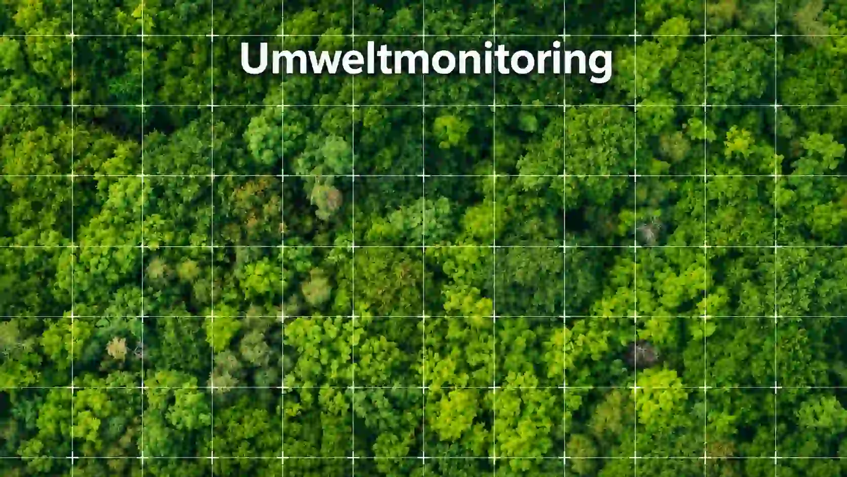 Fachübersetzungen für Umweltmonitoring